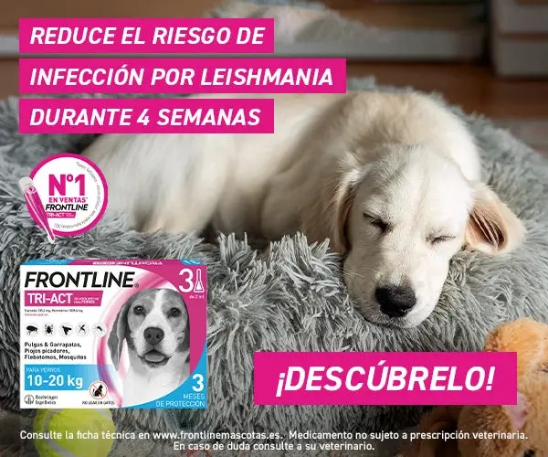 Frontline Tri-Act Pack 3 Pipetas Antiparasitarias para Perros - Image 4