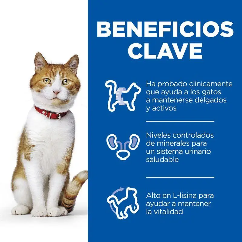 Hill'S Science Plan Sterilized Pollo 85 g Sobre Alimento para Gatos - Image 4
