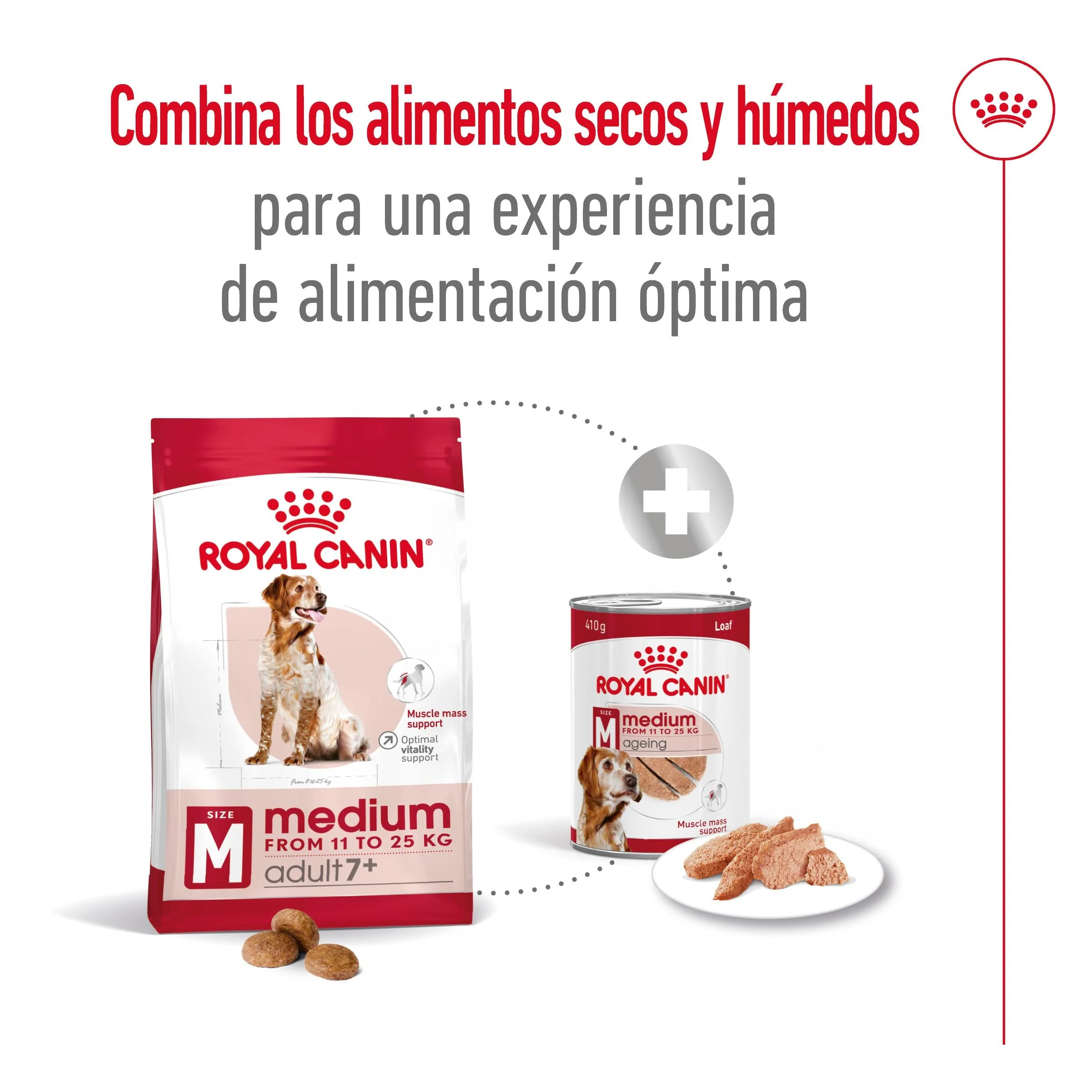 Royal Canin Medium Adult 7+ Pienso para Perros - Image 3