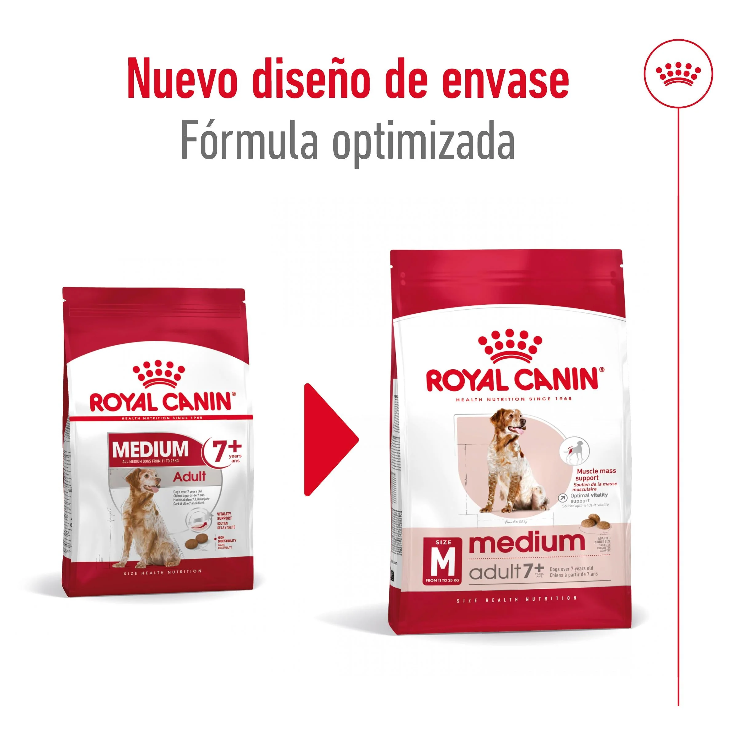 Royal Canin Medium Adult 7+ Pienso para Perros - Image 6