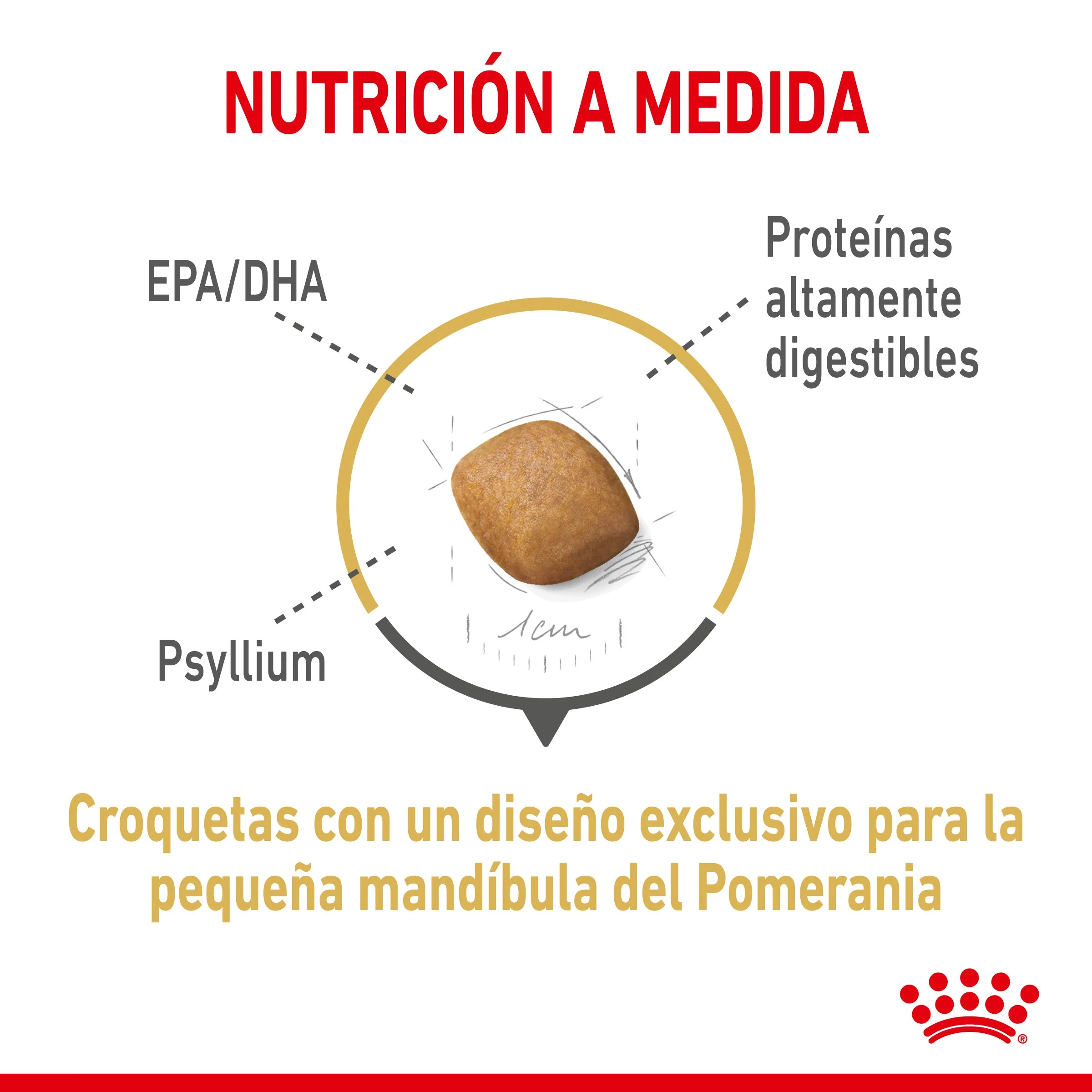 Royal Canin Pomerania Adulto Pienso para Perros de Raza - Image 5