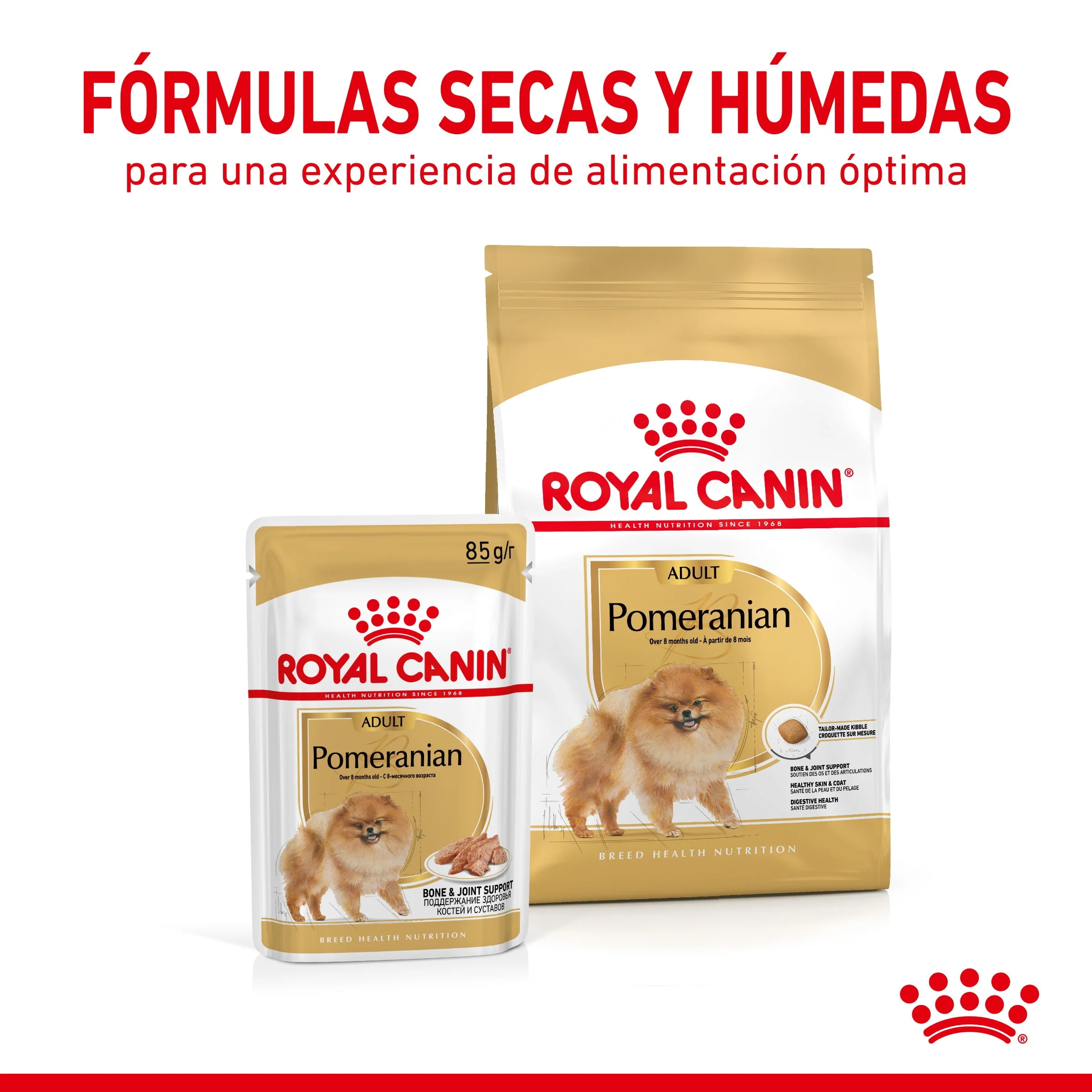 Royal Canin Pomerania Adulto Pienso para Perros de Raza - Image 6
